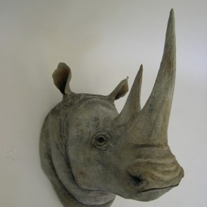 White Rhino Head Detail [24x41x36]