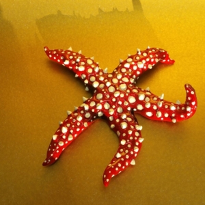 Spiny Starfish Sculpture