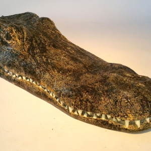 realistic alligator heads