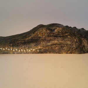 realistic alligator heads