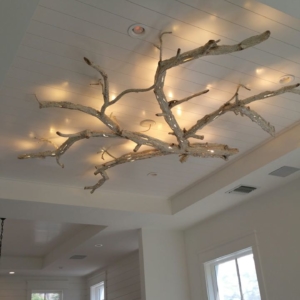 Ceiling Branch Light