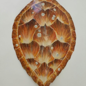 Sea Turtle Shell Sculpture