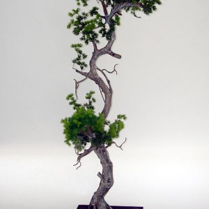 Bonsai Tree Sculpture