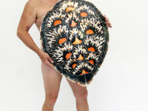 Ed Koehler with Sea Turtle Shell