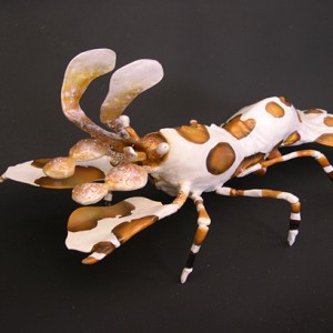 Harlequin Shrimp Sculpture [approx. 16in]