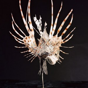 Lion Fish Sculpture [approx. 16in]