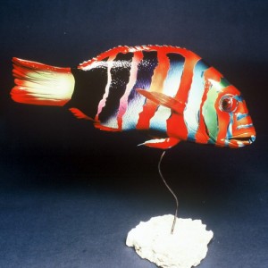 Harlequin Tuskfish Sculpture [approx. 16in]