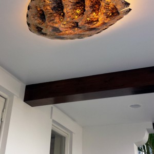 Sea Turtle Shell Ceiling Light Fixture
