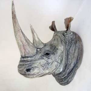 White Rhino Head