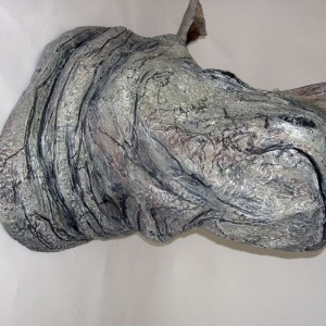 White Rhino Head Detail