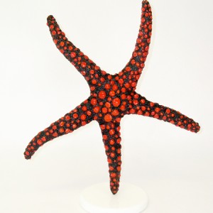 Red StarFish On Pedestal