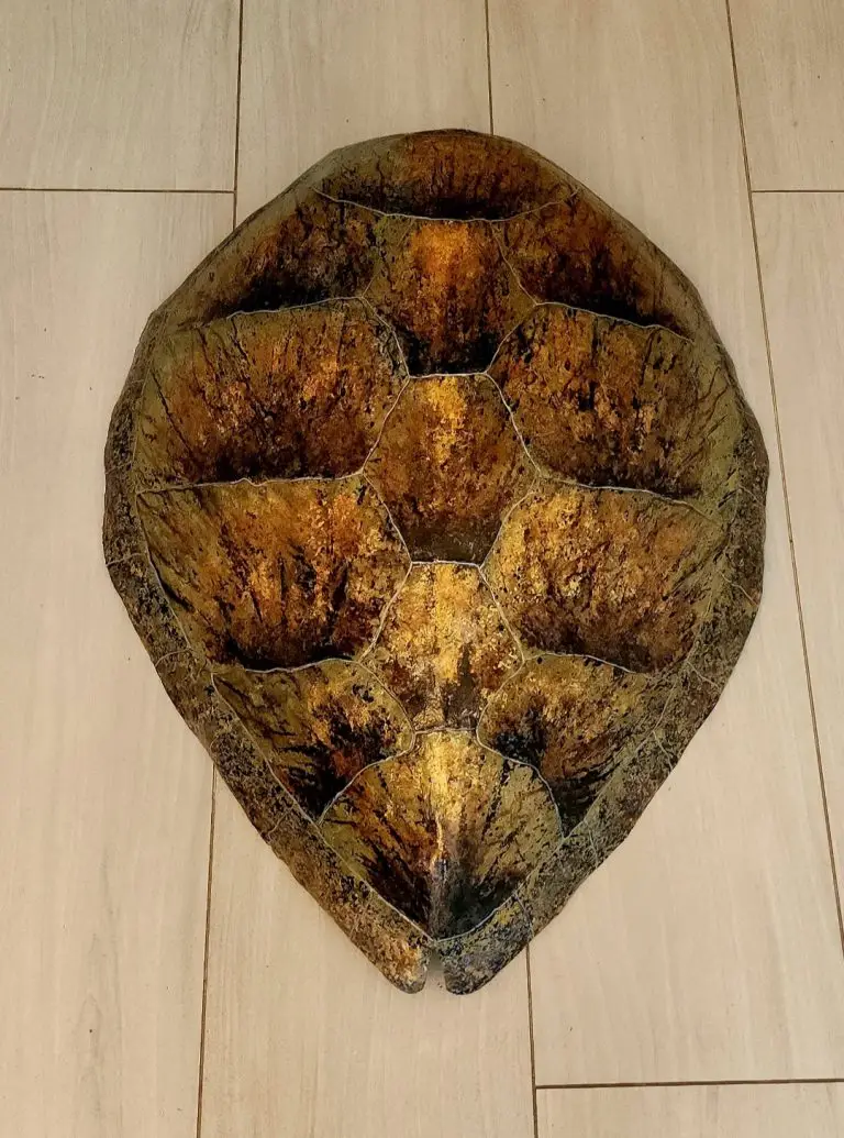 Screenshot_20250926_135448_Gallery