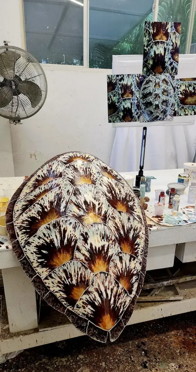 Sea Turtle Shell #147 - Image 2