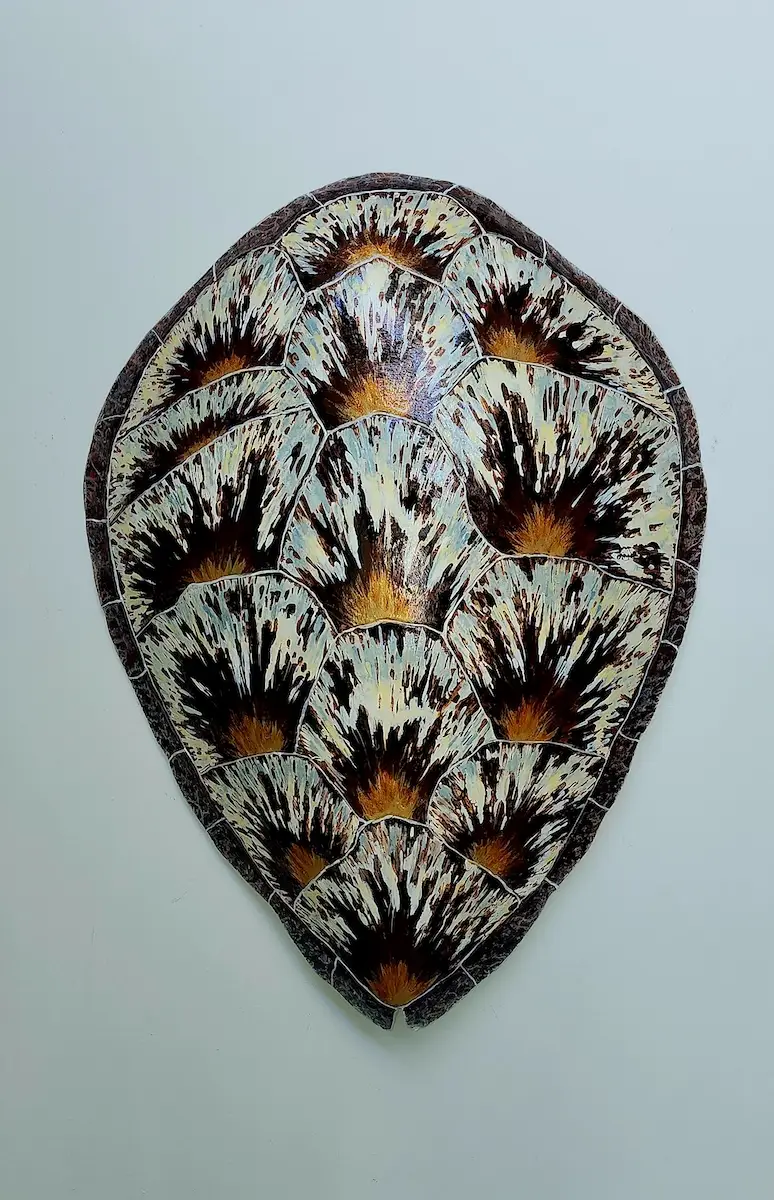 Sea Turtle Shell #147