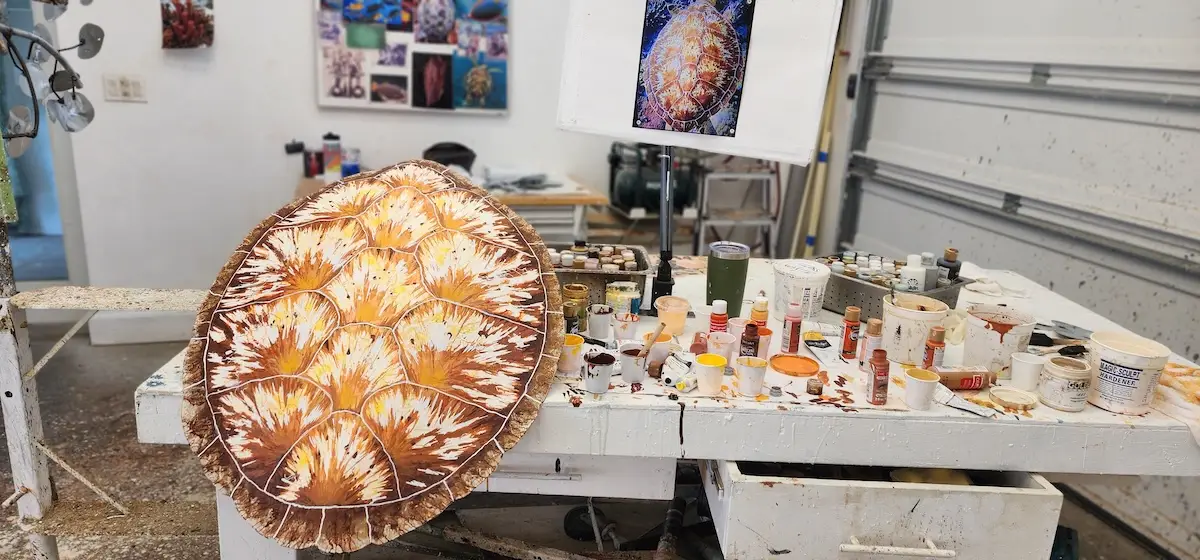 Sea Turtle Shell #144 - Image 2