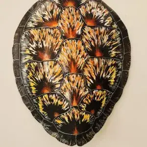 Sea Turtle Shell #138