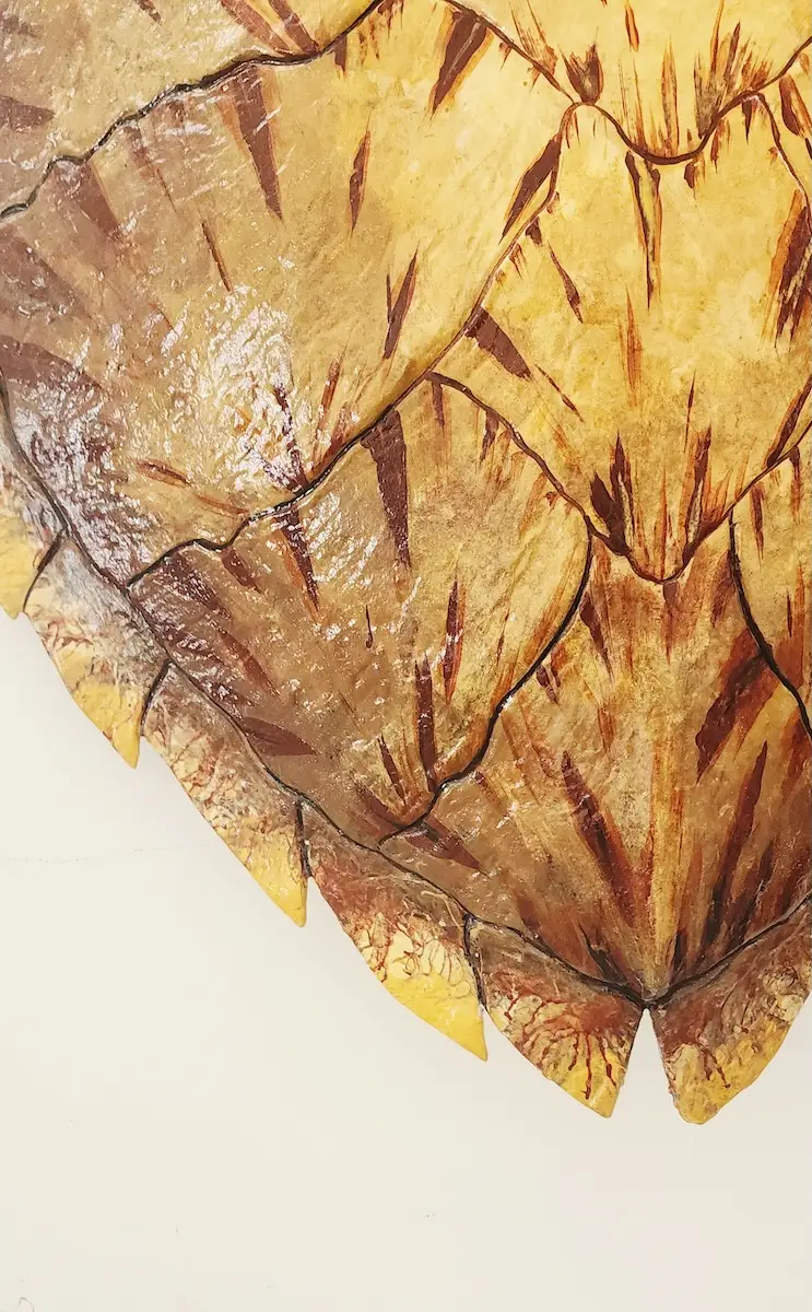 Sea Turtle Shell #140 - Image 2