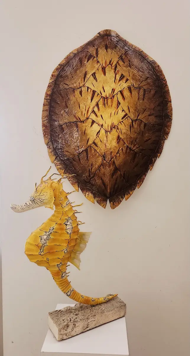 Sea Turtle Shell #140 - Image 4