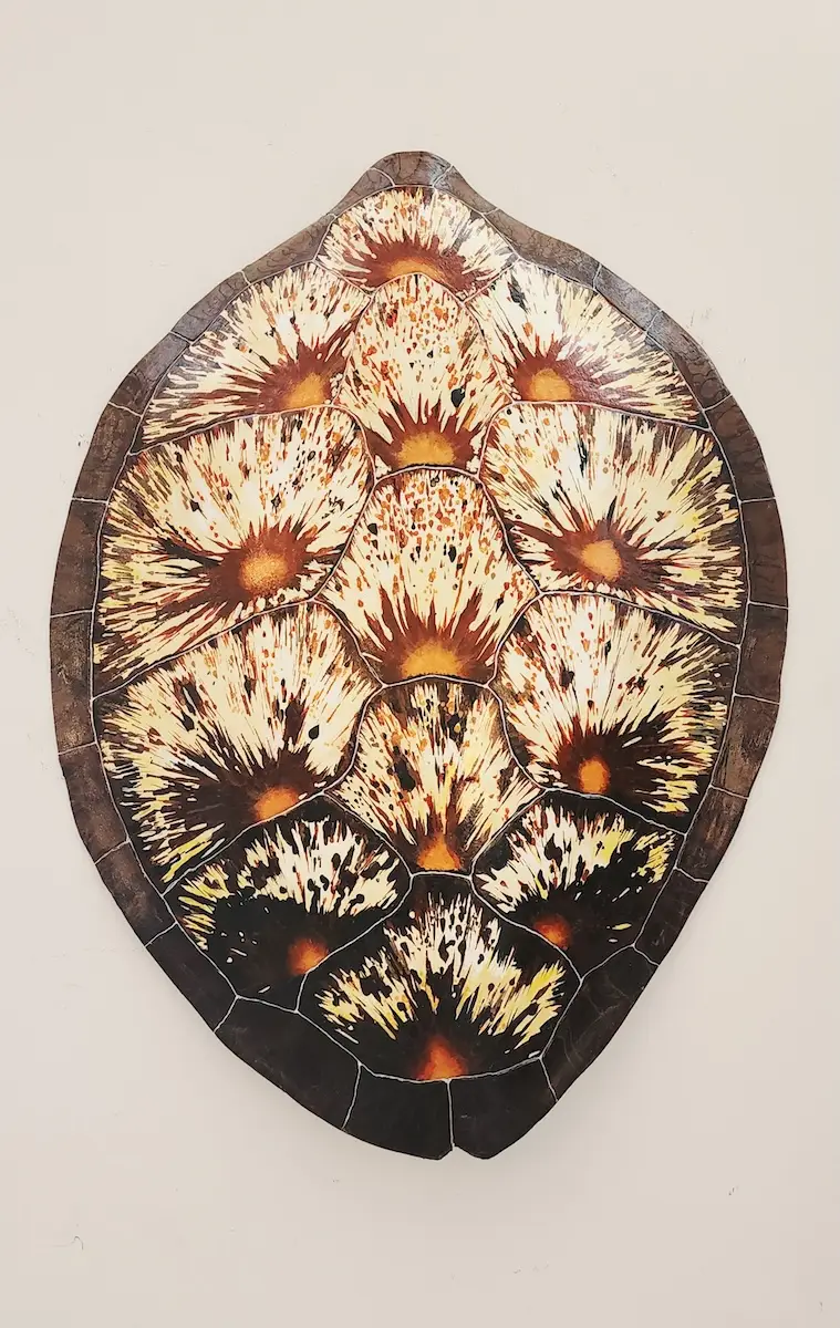 Sea Turtle Shell #137