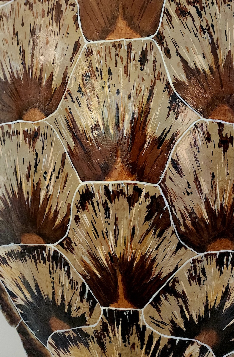 Sea Turtle Shell #141 - Image 3