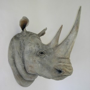 White Rhino Head [24x41x36]