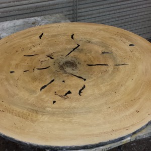 Tree Slice Table
