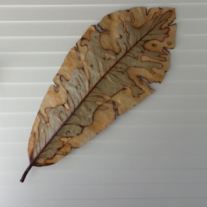 Leaf Wall Sconce