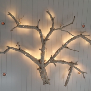 Ceiling Branch Light