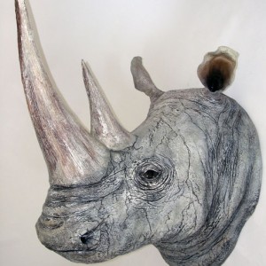 White Rhino Head