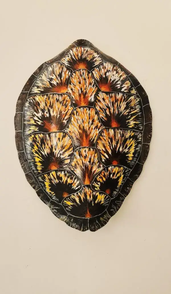Sea Turtle Shell #138 | Ed Koehler Designs